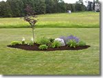 Lawn cae and landscaping