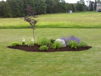 Landscapnig flower garden